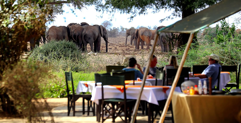 Elephant watching at the Satao Camp - Tsavo EAst National Park, Kenya